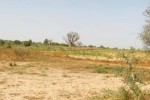 Terrain de 1,90 hectare vers Cherif Lô Terrain de 1,90 hectare vers Cherif Lô