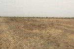 Terrain de 10 hectares vers Diama Terrain de 10 hectares vers Diama