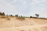 Terrain de 10 hectares vers Keur Samba Kane Terrain de 10 hectares vers Keur Samba Kane