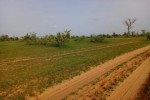 Terrain de 11,24 hectares vers Touba Lapé Terrain de 11,24 hectares vers Touba Lapé