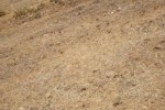 Terrain de 18 hectares vers Ronkh Terrain de 18 hectares vers Ronkh