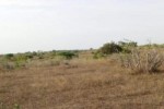 Terrain de 2 hectares vers Darou Khoudoss Terrain de 2 hectares vers Darou Khoudoss