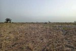 Terrain de 2 hectares vers Nguéniène Terrain de 2 hectares vers Nguéniène