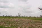 Terrain de 2 hectares vers Sandiara Terrain de 2 hectares vers Sandiara
