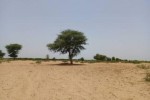 Terrain de 2,04 hectares vers Tassette Terrain de 2,04 hectares vers Tassette