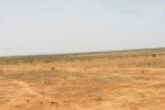 Terrain de 2,06 hectares vers Notto Diobass Terrain de 2,06 hectares vers Notto Diobass
