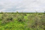 Terrain de 2,06 hectares vers Notto Gouye Diama Terrain de 2,06 hectares vers Notto Gouye Diama