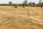 Terrain de 2,08 hectares vers Mont Rolland Terrain de 2,08 hectares vers Mont Rolland