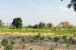 Terrain de 2,11 hectares vers Pire Terrain de 2,11 hectares vers Pire