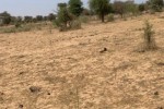 Terrain de 2,12 hectares vers Notto Diobass Terrain de 2,12 hectares vers Notto Diobass