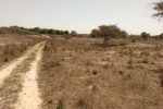 Terrain de 9889 m² vers Darou Khoudoss Terrain de 9889 m² vers Darou Khoudoss