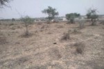 Terrain de 9,22 hectares vers Thieppe Terrain de 9,22 hectares vers Thieppe