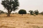 Terrain de 8771 m² vers Malicounda Terrain de 8771 m² vers Malicounda
