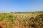 Terrain de 8779 m² vers Notto Diobass Terrain de 8779 m² vers Notto Diobass