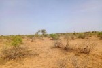 Terrain de 6,8 hectares vers Nguidila Terrain de 6,8 hectares vers Nguidila