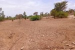 Terrain de 6840 vers Notto Diobass Terrain de 6840 vers Notto Diobass