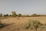 Terrain de 6928 m² vers Tataguine Terrain de 6928 m² vers Tataguine