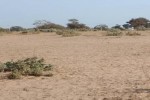 Terrain de 5 hectares vers Notto Diobass Terrain de 5 hectares vers Notto Diobass