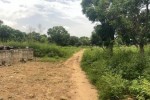 Terrain 600 mètres carrés à vendre à Saly Sén Terrain 600 mètres carrés à vendre à Saly Sén