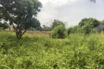 Terrains 300 mètres carrés à vendre à Saly Sé Terrains 300 mètres carrés à vendre à Saly Sé